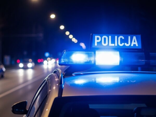 Alkoholowy atak w Gdańsku: 35-latek w rękach policji po brutalnej próbie kradzieży