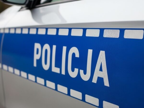 Dzień Psa: Uczcijmy naszych czworonożnych bohaterów w służbie!