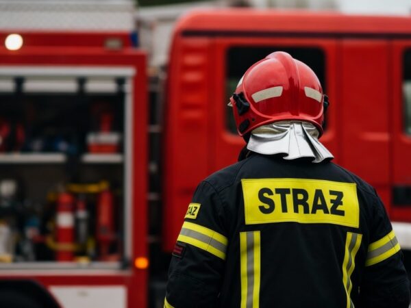 Miauczący alarm: co kryje kontener na elektroodpady?