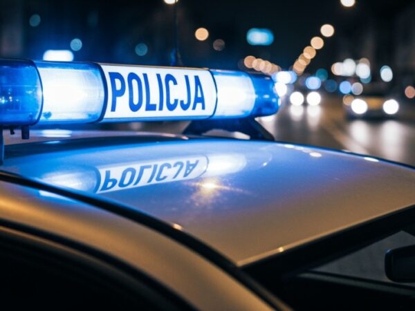 Pijany kierowca z Gdańska złamany zakaz i wrócił za kółko