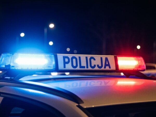 44-latek w rękach policji po serii włamań w Gdańsku