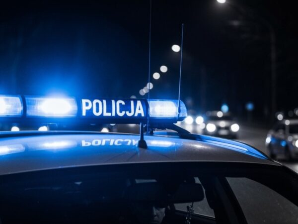 Chciała 100 zł za klatkę dla psa, straciła 8700. Wystarczył link od „kupującego”